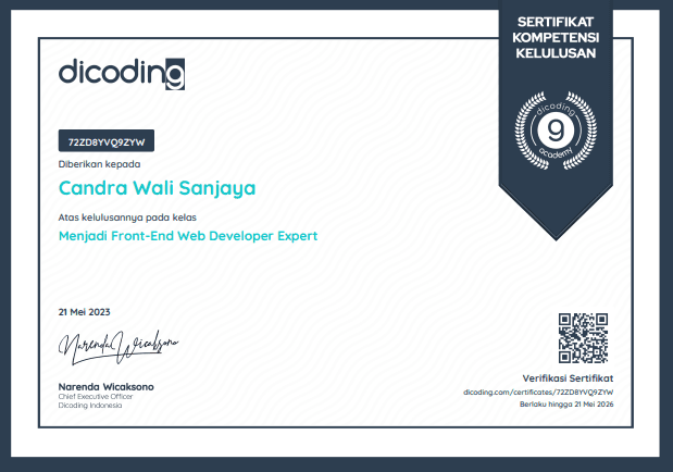 Become an expert front-end web developer